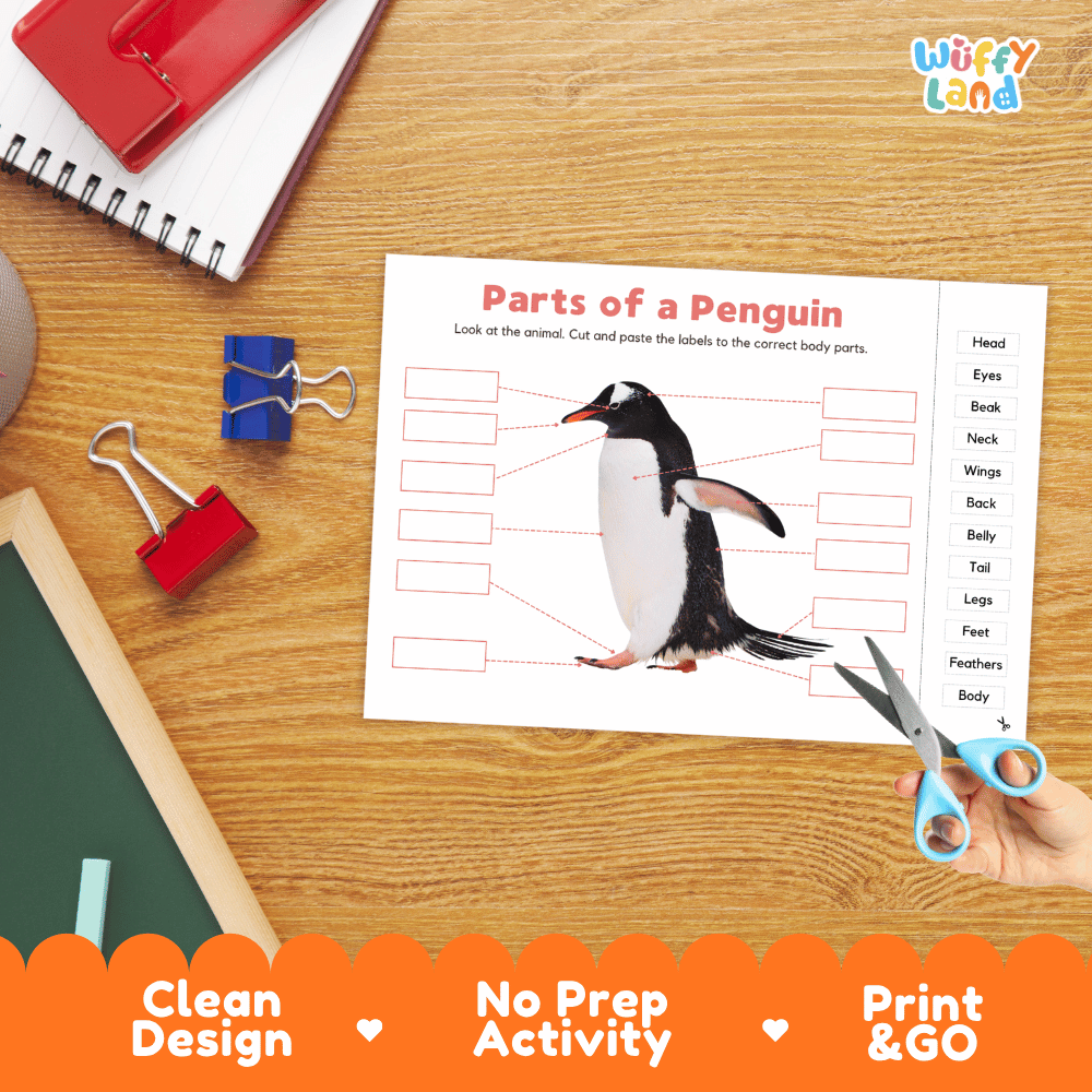 Printable bird anatomy worksheet showing a realistic gentoo penguin with blank labeling boxes and a vocabulary word bank for writing practice