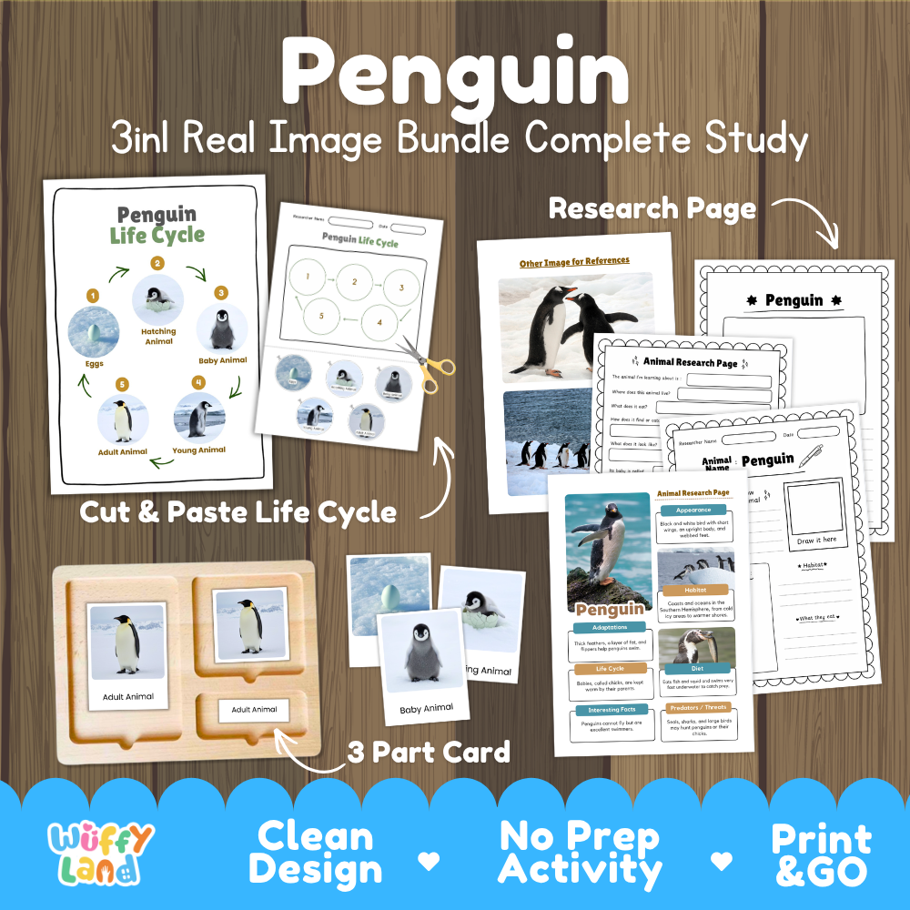 Penguin 3-in-1 real image bundle complete study cover showing cut and paste life cycle, 3 part cards, and research pages