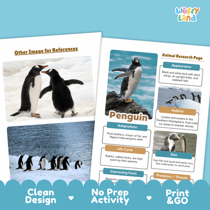 Penguin Animal Research Page Worksheets and Fact Sheet Activity