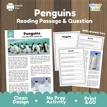 Penguins Reading Passage and Questions Worksheets with Answer Key