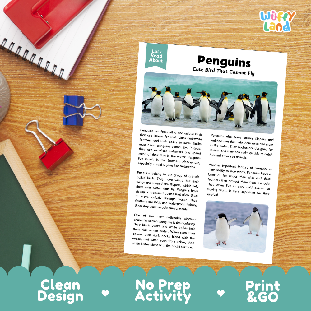 Penguins Reading Passage and Questions Worksheets with Answer Key