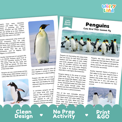 Penguins Reading Passage and Questions Worksheets with Answer Key