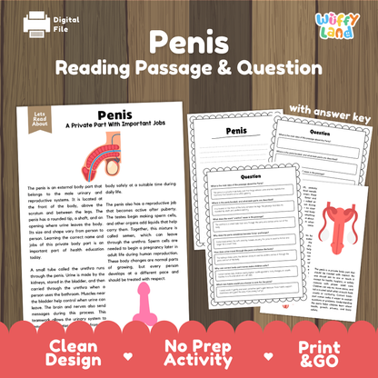 Penis reading comprehension passage and questions printable activity pack with answer key for elementary students
