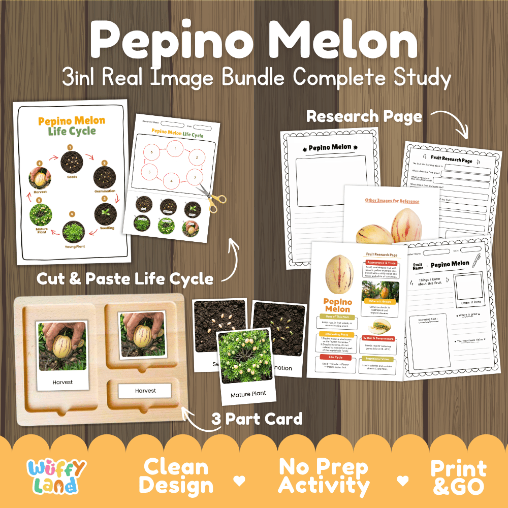 Pepino melon life cycle 3in1 real image bundle complete study overview featuring cut and paste worksheets, Montessori 3-part cards, and research pages from Wuffy Land 🍈🌱