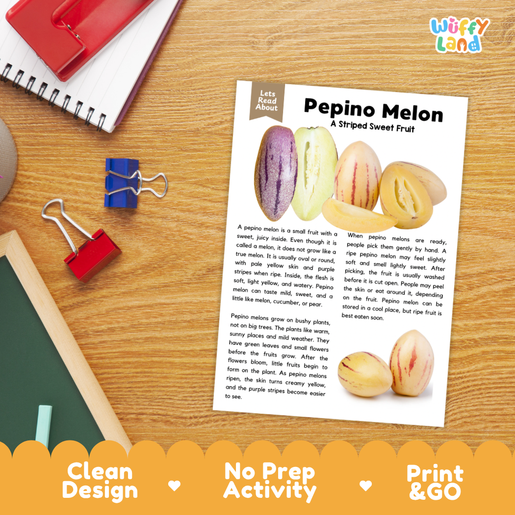 Student reading comprehension worksheet with short-answer questions and lined sections about the pepino melon fruit