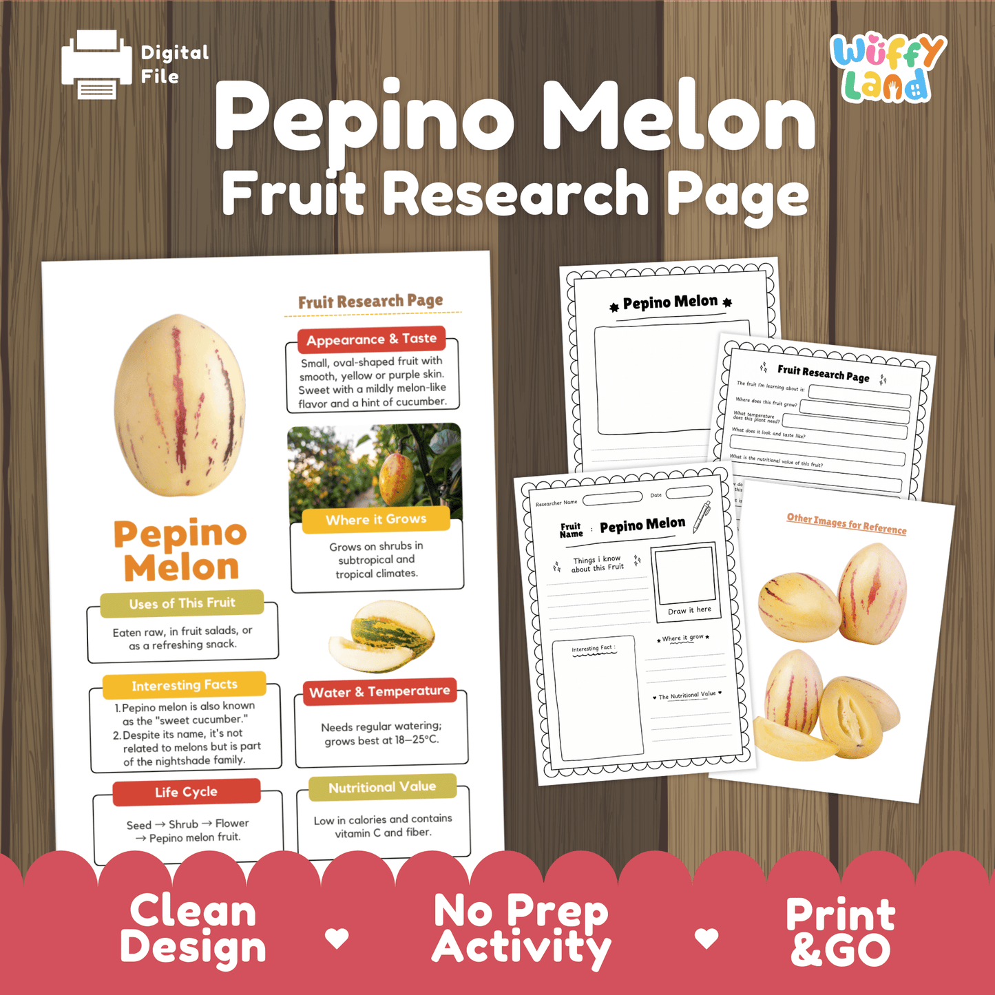 Pepino Melon Fruit Research Activity Worksheet Science Exotic Fruit Nightshade