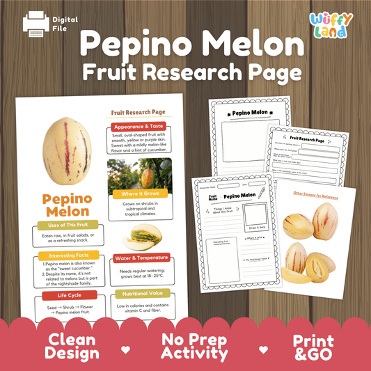 Pepino Melon Fruit Research Activity Worksheet Science Exotic Fruit Nightshade
