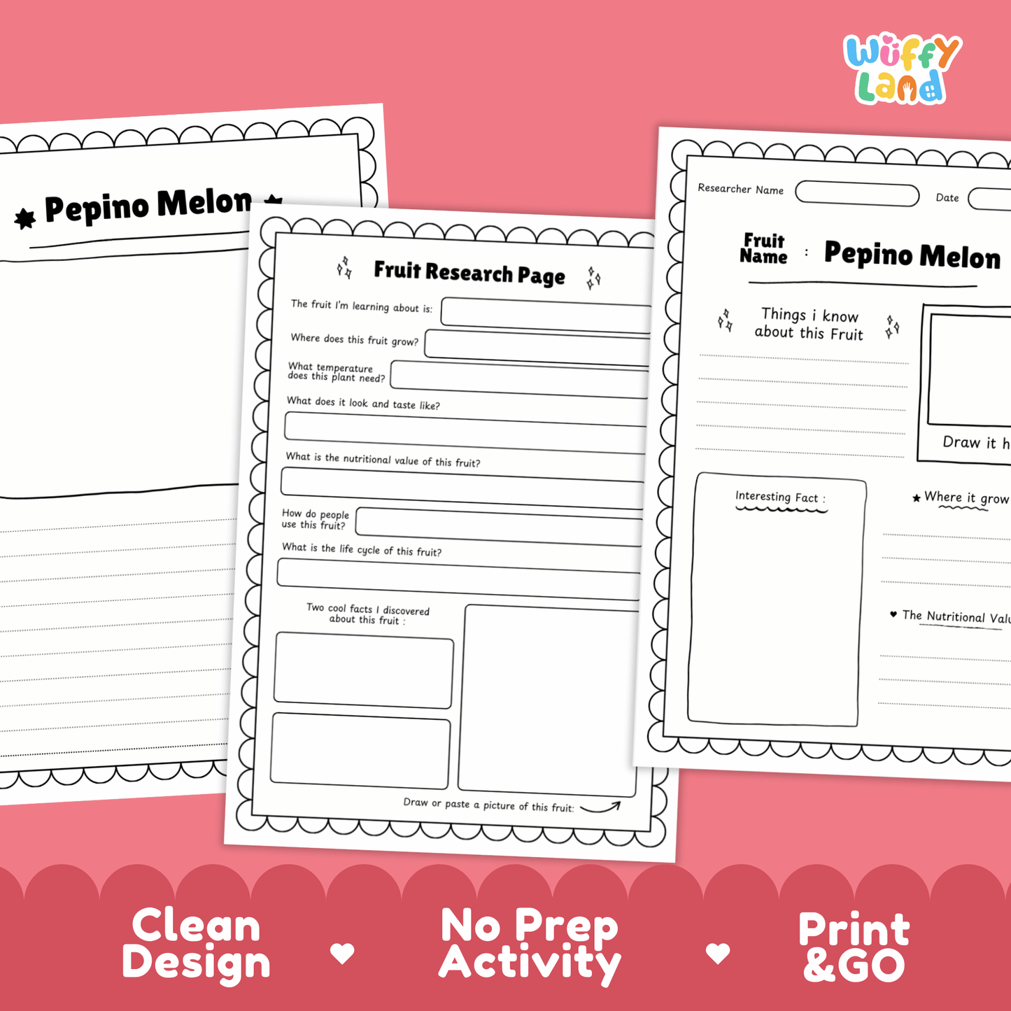 Pepino Melon Fruit Research Activity Worksheet Science Exotic Fruit Nightshade