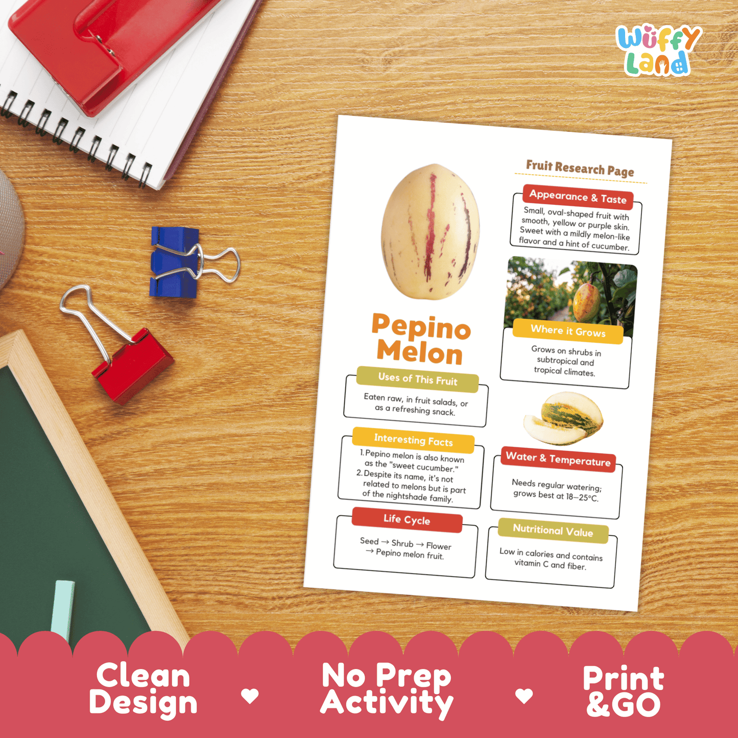 Pepino Melon Fruit Research Activity Worksheet Science Exotic Fruit Nightshade