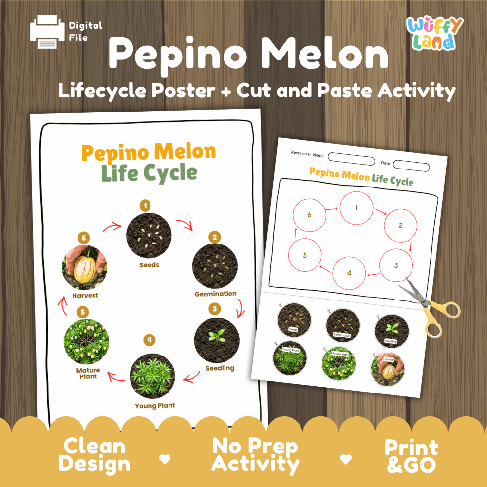 Pepino Melon Life Cycle Poster and Cut and Paste Activity Worksheets