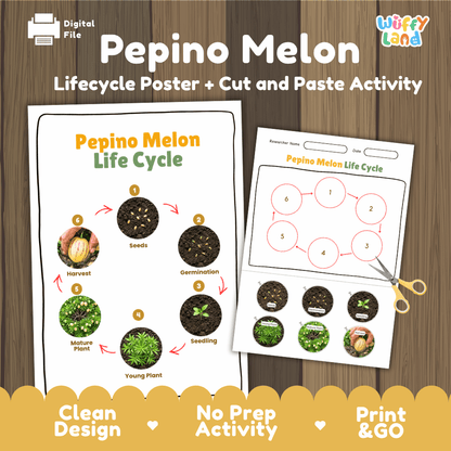 Pepino Melon Life Cycle Poster and Cut and Paste Activity Worksheets