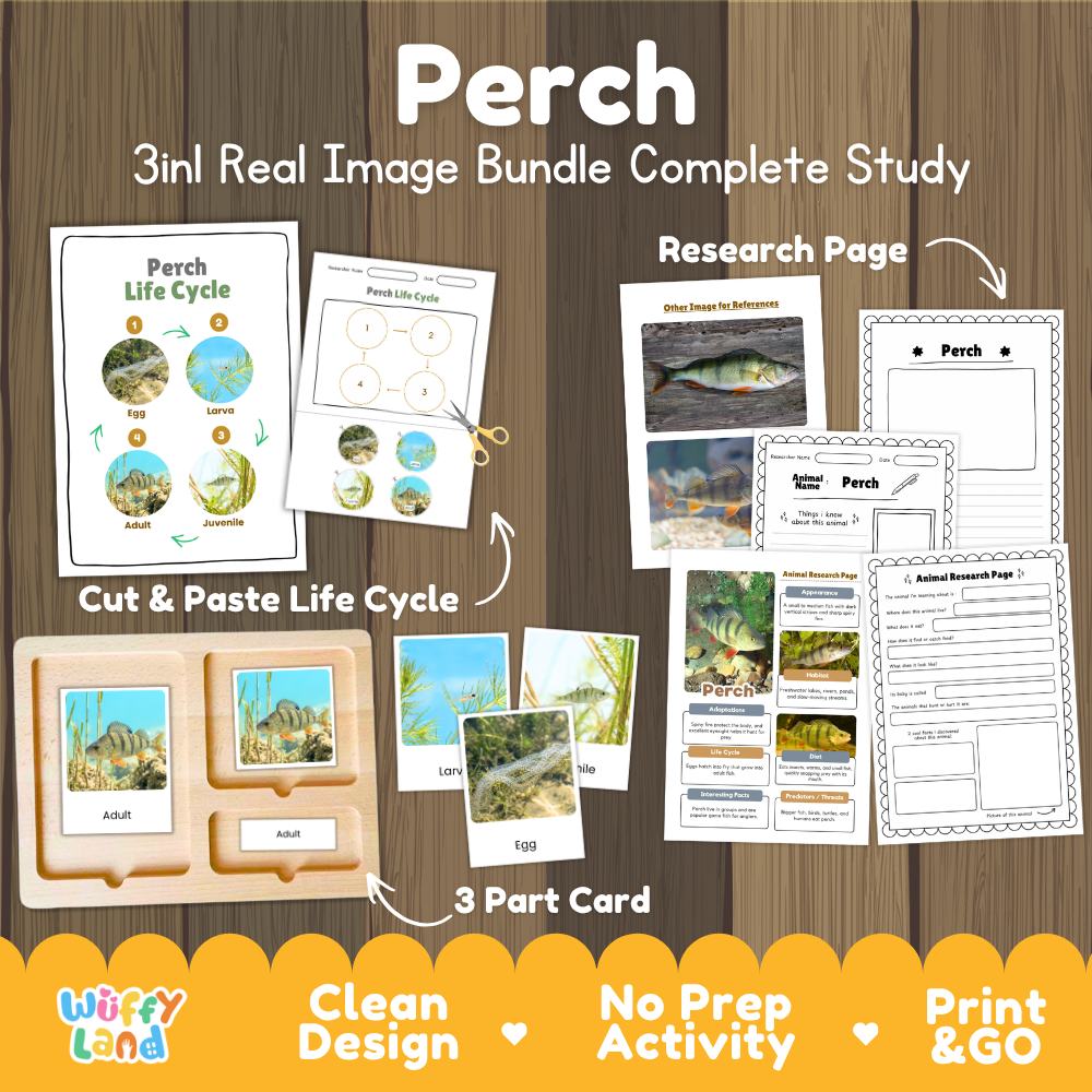 Perch 3-in-1 real image bundle complete study cover showing cut and paste life cycle, 3 part cards, and research pages