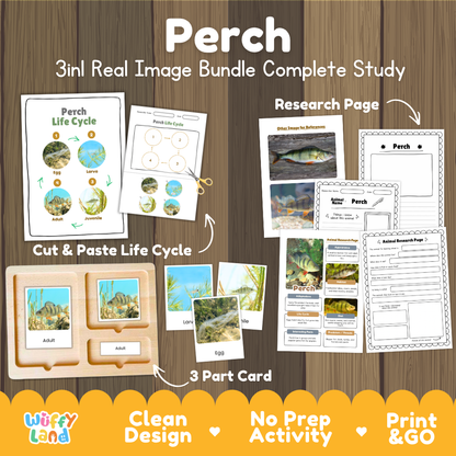 Perch 3-in-1 real image bundle complete study cover showing cut and paste life cycle, 3 part cards, and research pages