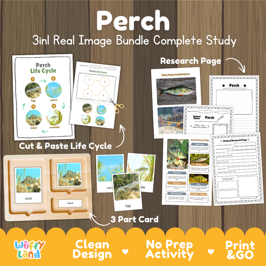 Perch 3-in-1 real image bundle complete study cover showing cut and paste life cycle, 3 part cards, and research pages
