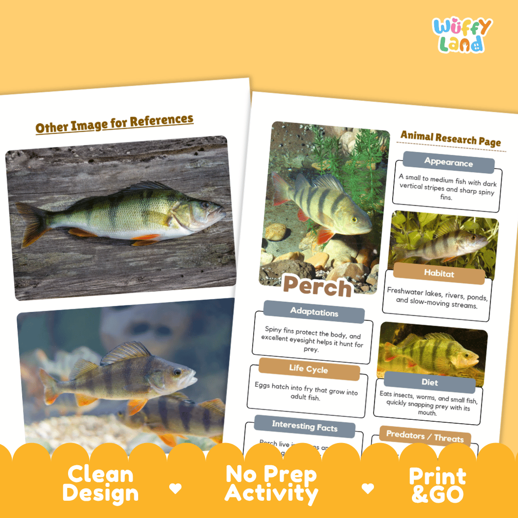 Perch Animal Research Worksheets and Informational Fact Sheets