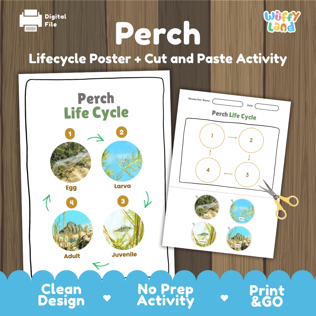 Perch Life Cycle Poster and Cut and Paste Worksheet Activity