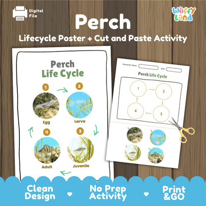 Perch Life Cycle Poster and Cut and Paste Worksheet Activity