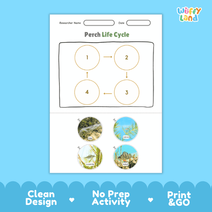 Perch Life Cycle Poster and Cut and Paste Worksheet Activity