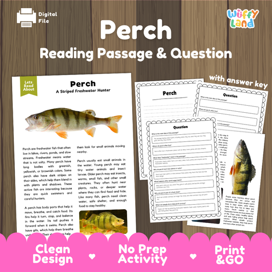 Perch Reading Passage and Questions Worksheets with Answer Key