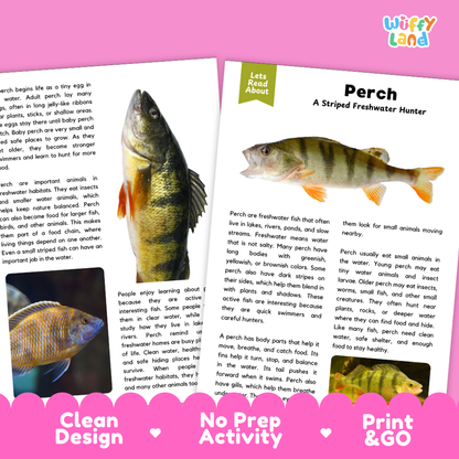 Two printed activity cards for children about fishing, shown on a white background with decorative pink hearts and the text 'Wiffly Land' in the top right. One card has a photo of a fish, and the other has a title card reading 'Perch A Striped Freshwater Hunter' with a short text activity below.