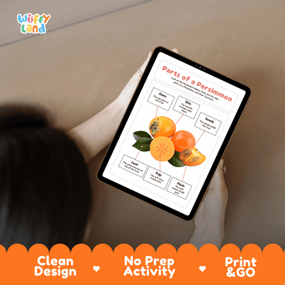 Educational cut and paste persimmon fruit anatomy worksheet with printable word cutout tiles for skin, flesh, pulp, seeds, leaf, and stem
