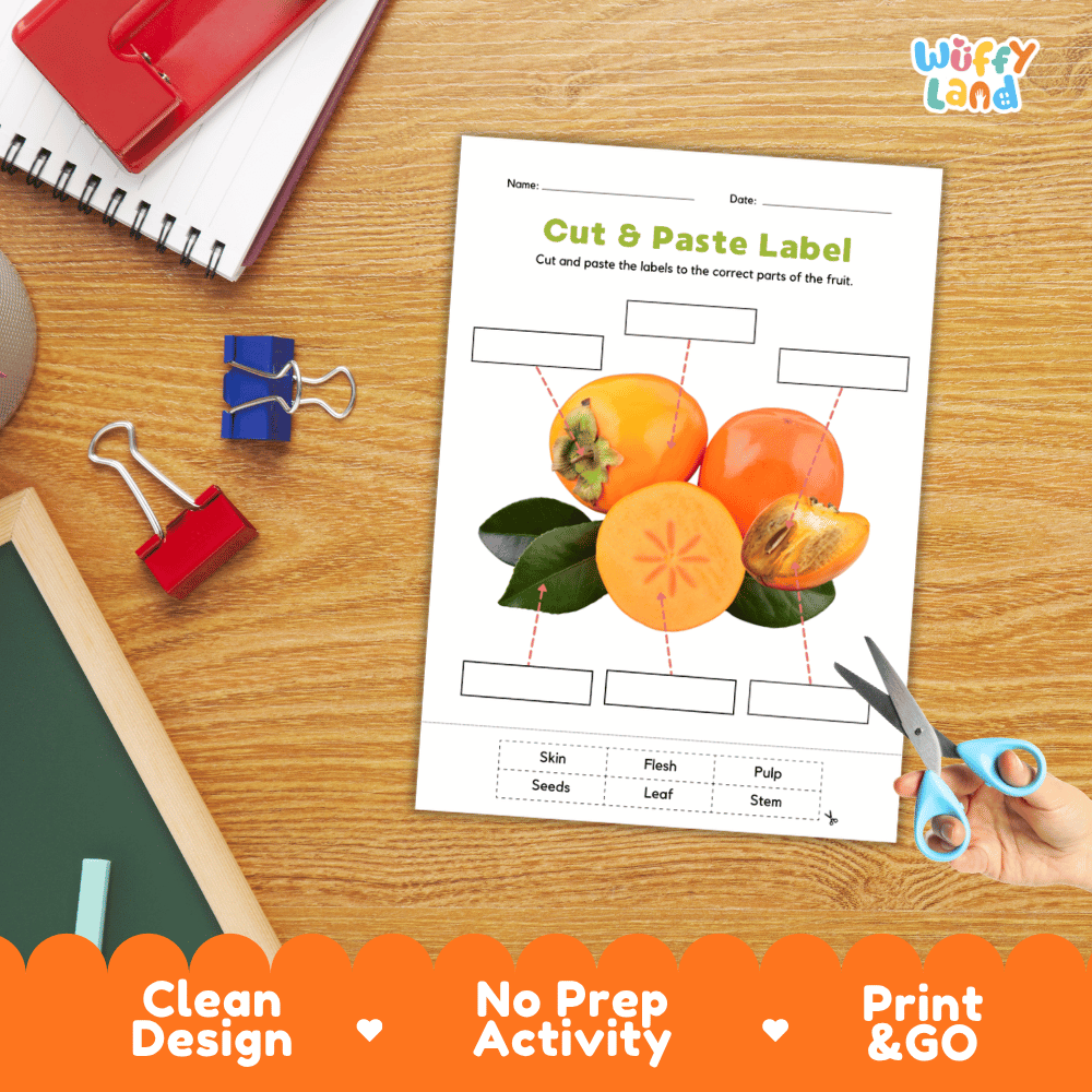 Printable plant biology worksheet showing sliced and whole persimmon fruits with blank labeling boxes and a vocabulary word bank for writing practice