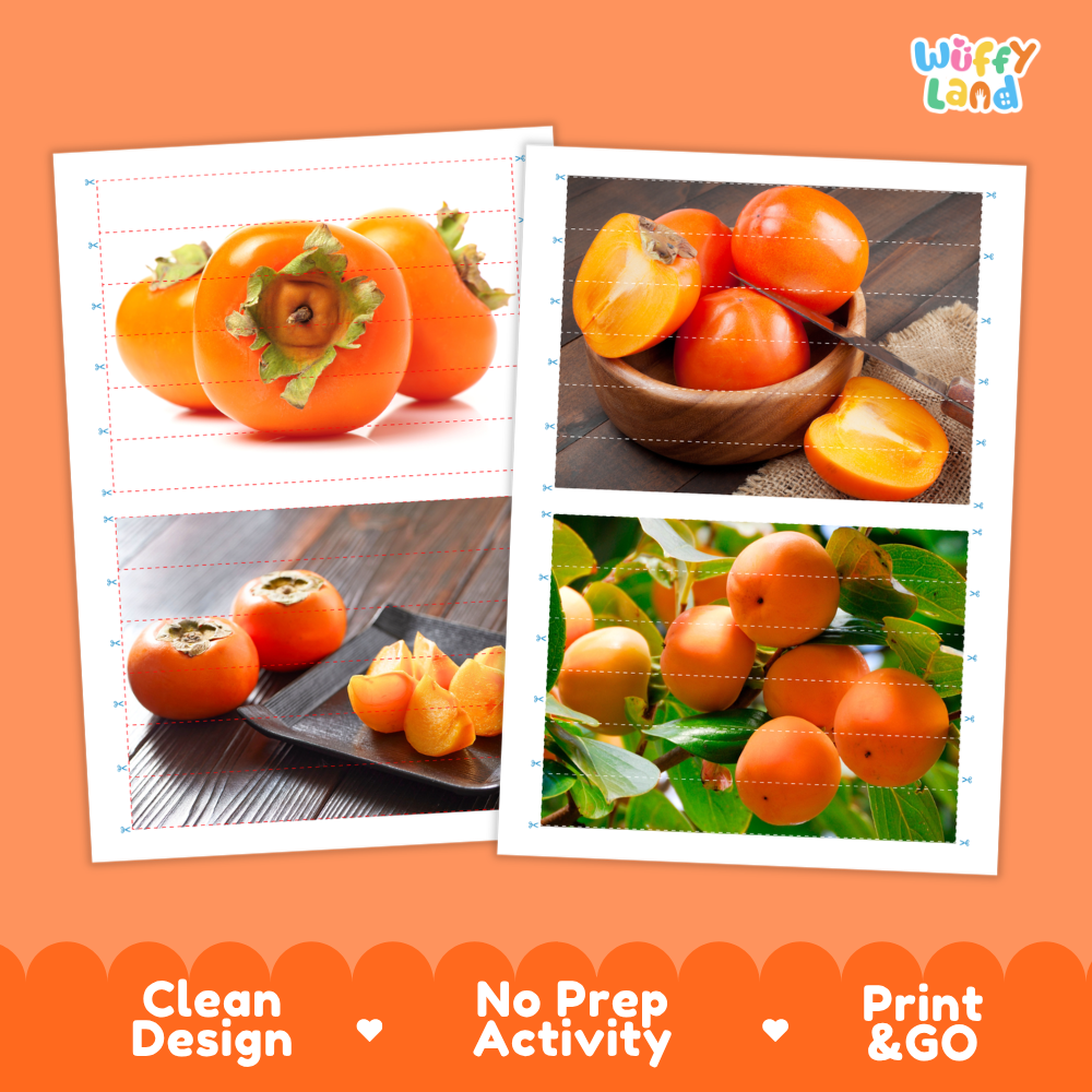 Printable activity sheets featuring photographic persimmon puzzle boards and cutting guides