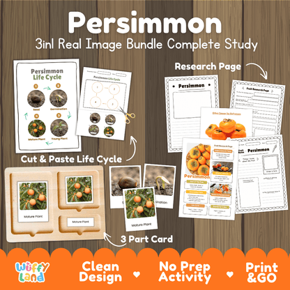 Persimmon tree life cycle 3in1 real image bundle complete study overview featuring cut and paste worksheets, Montessori 3-part cards, and research pages from Wuffy Land 🍊🌱