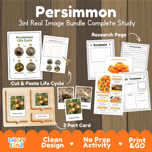 Persimmon tree life cycle 3in1 real image bundle complete study overview featuring cut and paste worksheets, Montessori 3-part cards, and research pages from Wuffy Land 🍊🌱