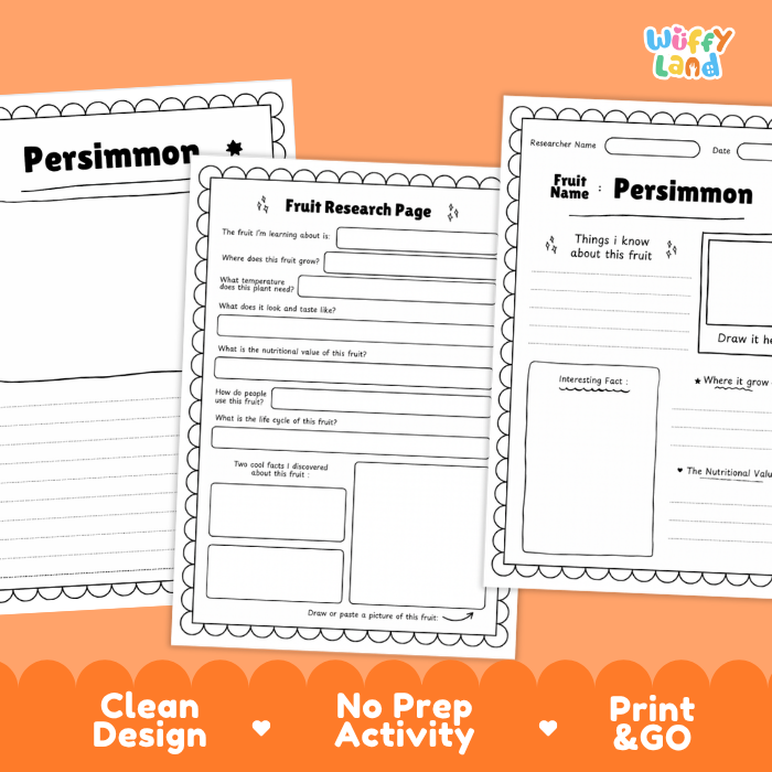 Persimmon Fruit Research Page Worksheets and Fact Sheet
