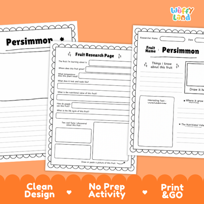 Persimmon Fruit Research Page Worksheets and Fact Sheet