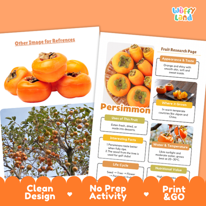Persimmon Fruit Research Page Worksheets and Fact Sheet