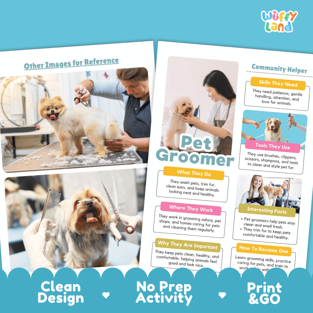 Print and go digital PDF writing worksheets with clean design layout, researcher name line, and zero prep classroom format
