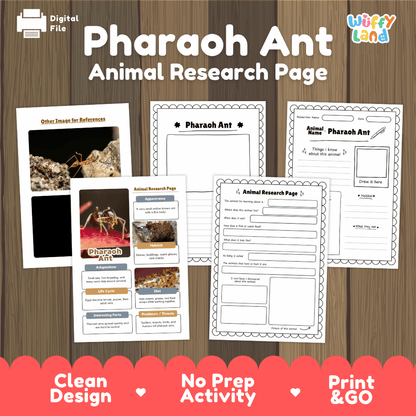 Pharaoh Ant Animal Research Worksheets and Informational Fact Sheets
