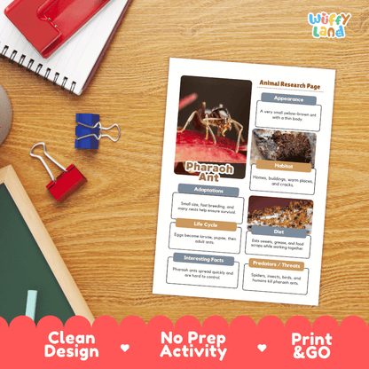 Pharaoh Ant Animal Research Worksheets and Informational Fact Sheets