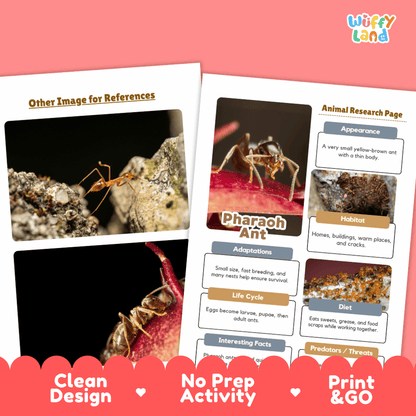 Pharaoh Ant Animal Research Worksheets and Informational Fact Sheets