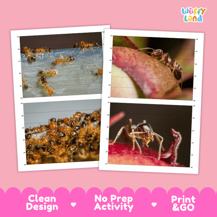 Pharaoh Ant Cut and Match Activity Printables Worksheets