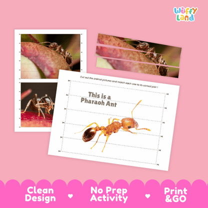 Pharaoh Ant Cut and Match Activity Printables Worksheets