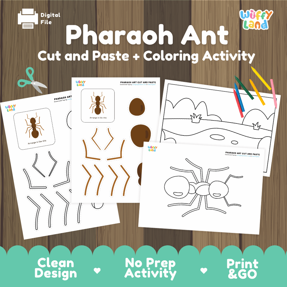 Pharaoh Ant Cut and Paste Craft and Coloring Activity Worksheets