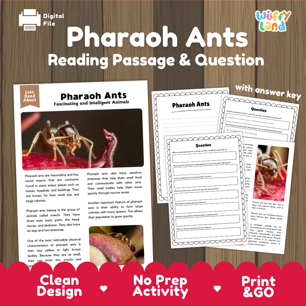 Pharaoh Ants Reading Passage and Comprehension Questions Worksheets with Answer Key