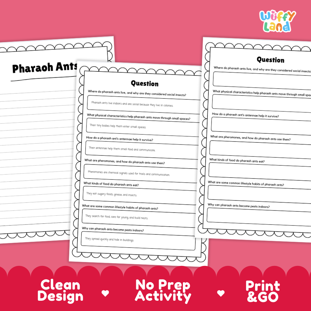 Three printable educational worksheets about pharaoh ants are shown on a pink background with promotional text reading 'Clean Design,' 'No Prep Activity,' and 'Print & GO.' The worksheets have black text and lined activity sections with decorative scalloped borders.