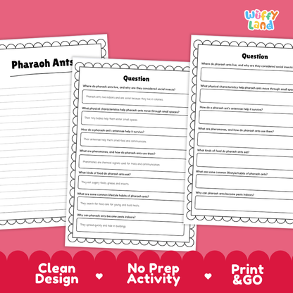 Three printable educational worksheets about pharaoh ants are shown on a pink background with promotional text reading 'Clean Design,' 'No Prep Activity,' and 'Print & GO.' The worksheets have black text and lined activity sections with decorative scalloped borders.