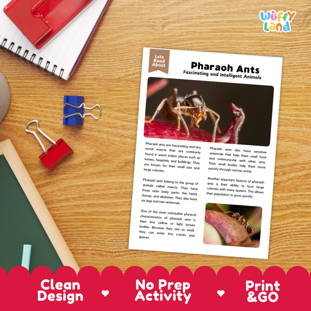 Pharaoh Ants Reading Passage and Comprehension Questions Worksheets with Answer Key