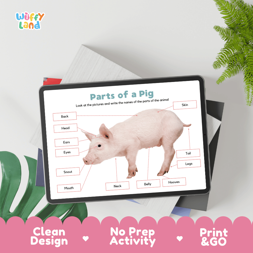 Hands-on pig anatomy cut and paste worksheet with printable word tags, callout pointer lines, and scissors graphic