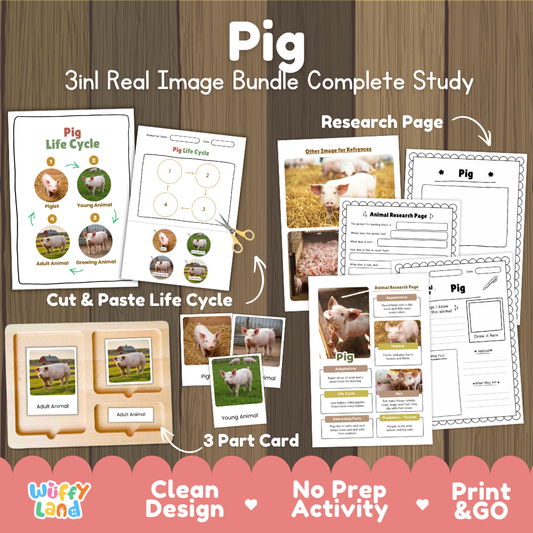 Pig 3-in-1 real image bundle complete study cover showing cut and paste life cycle, 3 part cards, and research pages