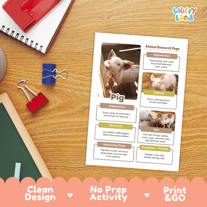 An educational animal research page about a pig, printed on a white sheet and placed on a wooden desk with school supplies. The page includes photos of a pig, labeled sections such as appearance, habitat, adaptations, life cycle, diet, and interesting facts.