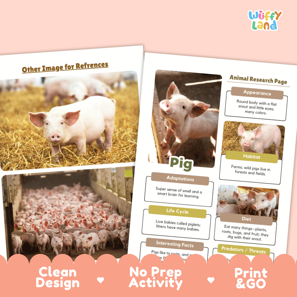 Two printed educational poster pages about pigs displayed on a peach background, with marketing text at the bottom reading 'Clean Design', 'No Prep Activity', and 'Print & GO'. The posters include photos of pigs and labeled sections such as appearance, habitat, adaptations, life cycle, diet, and interesting facts.
