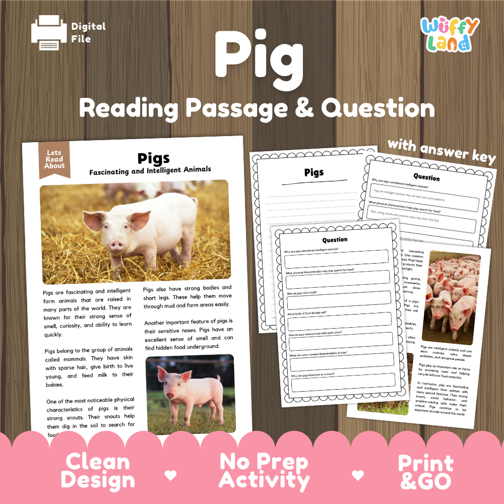 Digital reading activity sheet set about pigs, featuring a reading passage, comprehension questions, and an answer key on a wood-textured background with pink promotional banners.