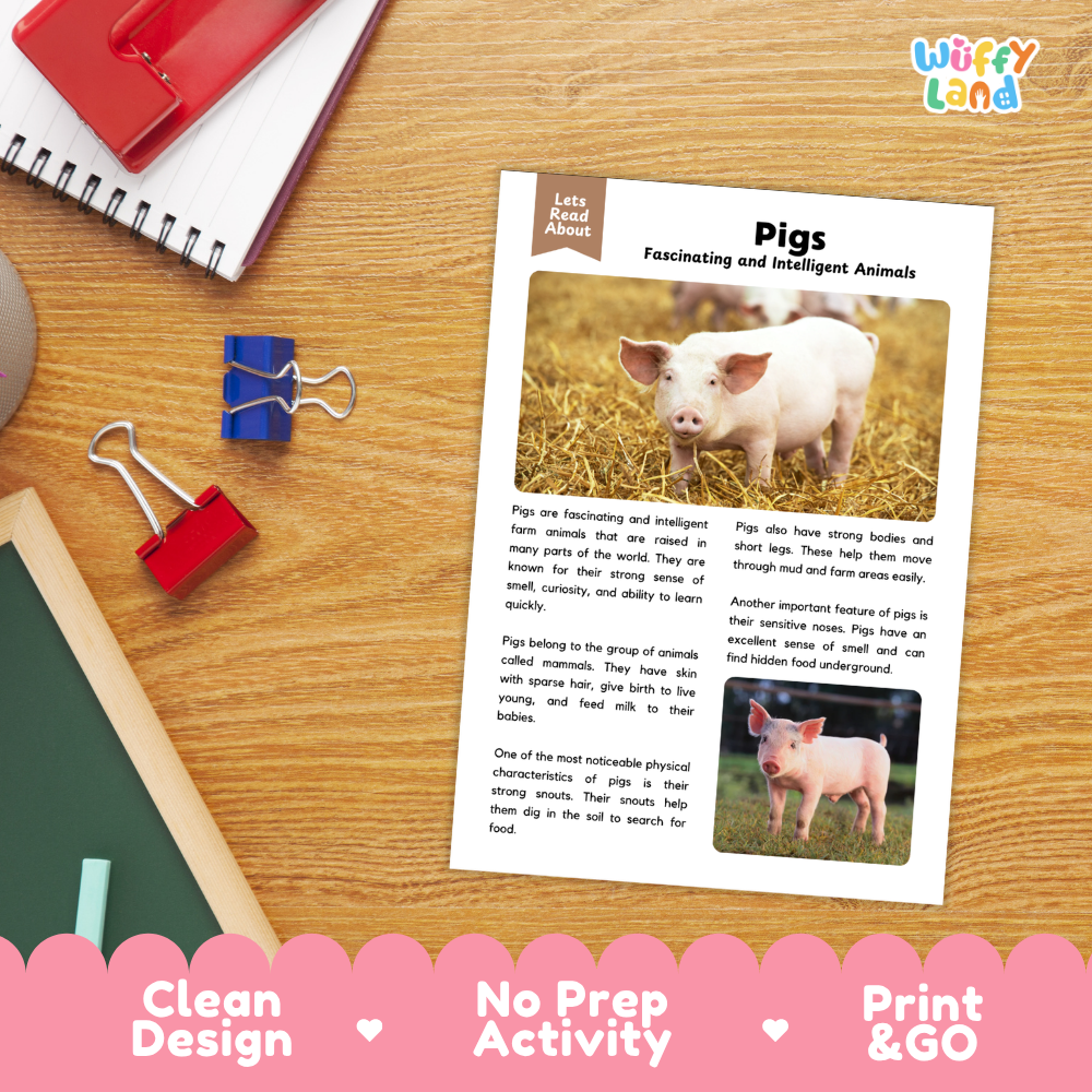 A printed educational worksheet about pigs titled 'Fascinating and Intelligent Animals' laid on a wooden desk, surrounded by school supplies including a spiral notebook, binder clips, and a red notebook. The page includes text and photos of pig animals.