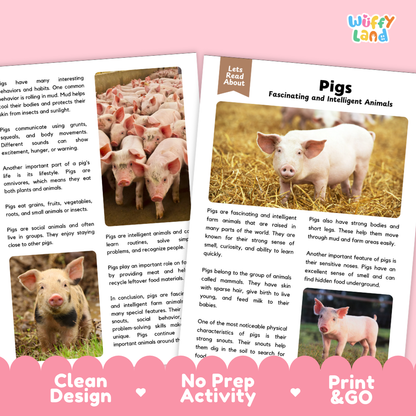 Two educational reading activity sheets about pigs, featuring text, animal photos, and a pink banner at the bottom with the text 'Clean Design', 'No Prep Activity', and 'Print & Go'.